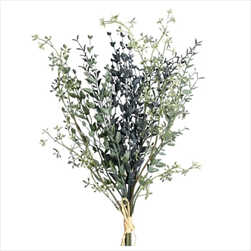 Uk svazek zeleně 48 cm - velkoobchod, dovoz květin, řezané květiny Brno