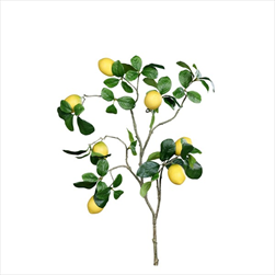 Uk větev citron 110 cm - velkoobchod, dovoz květin, řezané květiny Brno