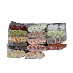 UK Růže květ mercedes 7cm - velkoobchod, dovoz květin, řezané květiny Brno