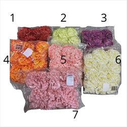 Uk květ karafiát 6cm - velkoobchod, dovoz květin, řezané květiny Brno