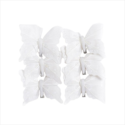 Do motýl na klipu 8 cm/6 ks bílý - velkoobchod, dovoz květin, řezané květiny Brno