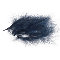 DO PEŘÍ 5 ks modročerné - velkoobchod, dovoz květin, řezané květiny Brno