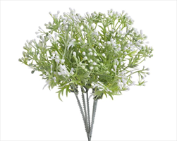 UK Kytička s bobulkama květ bílá - velkoobchod, dovoz květin, řezané květiny Brno