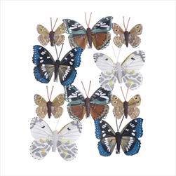 Do motýl na klipu mix II. 45 - 75 mm 10 ks - velkoobchod, dovoz květin, řezané květiny Brno