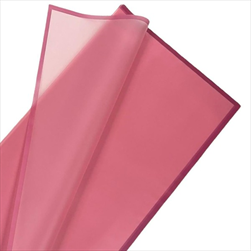 Folie transparent s okrajem 58 x 58 cm/20 ks 16 - velkoobchod, dovoz květin, řezané květiny Brno