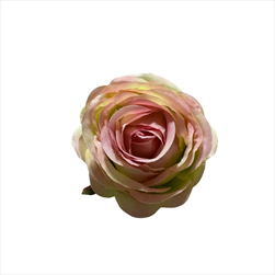 Uk Květ růže Cabbage 7 cm zelenorůžová - velkoobchod, dovoz květin, řezané květiny Brno