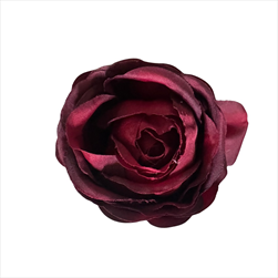 Uk Květ růže Cabbage 7 cm burgundy - velkoobchod, dovoz květin, řezané květiny Brno