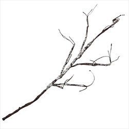 Uk větev GL/BR 115cm - velkoobchod, dovoz květin, řezané květiny Brno