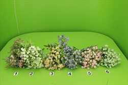 Uk Keřík gypsophila mix - velkoobchod, dovoz květin, řezané květiny Brno