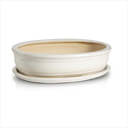 KE PLX Bonsai květináč s podmiskou SET 25x18/H6cm BÍLÁ - velkoobchod, dovoz květin, řezané květiny Brno