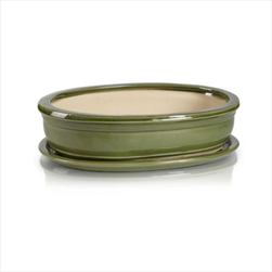 KE PLX Bonsai květináč s podmiskou SET 25x18/H6cm ZELENÁ - velkoobchod, dovoz květin, řezané květiny Brno