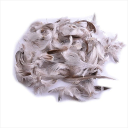 Do peří ptačí extra 10g - velkoobchod, dovoz květin, řezané květiny Brno