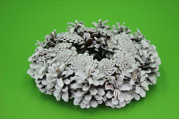 Kruh šiškový sníh 20cm - velkoobchod, dovoz květin, řezané květiny Brno