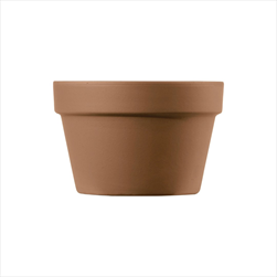 Ke žardina Mezzo 17cm teracota - velkoobchod, dovoz květin, řezané květiny Brno