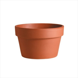 Ke žardina Mezzo 31cm teracota - velkoobchod, dovoz květin, řezané květiny Brno