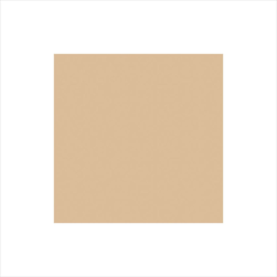 DO UBROUSKY 3V 33X33CM 20 ks Natural brown - velkoobchod, dovoz květin, řezané květiny Brno