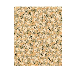 Ob papír arch 0,7 x 1 m/25 ks 3379/63 - velkoobchod, dovoz květin, řezané květiny Brno