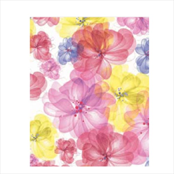 Ob papír arch 0,7 x 1 m/25 ks 2843/93 - velkoobchod, dovoz květin, řezané květiny Brno