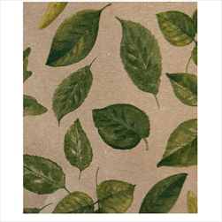 Ob papír arch 0,7 x 1 m/25 ks přírodní s listy - velkoobchod, dovoz květin, řezané květiny Brno