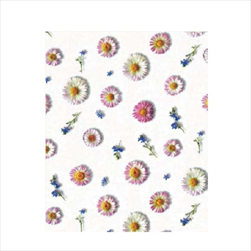 Ob papír arch 0,7 x 1 m/25 ks 2043/86 - velkoobchod, dovoz květin, řezané květiny Brno