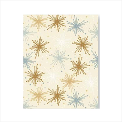 Ob papír arch 0,7x25m 2084/82 - velkoobchod, dovoz květin, řezané květiny Brno