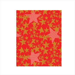 Ob papír role 0,7 x 25 m 2089/86 - velkoobchod, dovoz květin, řezané květiny Brno