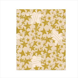 Ob papír role 0,7 x 25 m 2089/87 - velkoobchod, dovoz květin, řezané květiny Brno