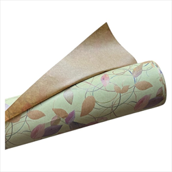 OB papír kraft role 0,8x40m Camelia zelená - velkoobchod, dovoz květin, řezané květiny Brno