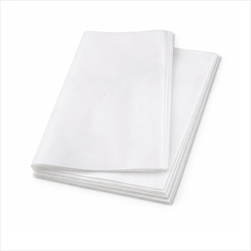 Arch Velina 50 x 70 cm bianco - velkoobchod, dovoz květin, řezané květiny Brno