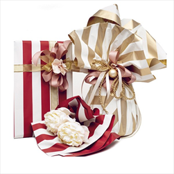 Role folie 40my/0,8 x 20 m Line bordeaux - velkoobchod, dovoz květin, řezané květiny Brno