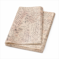 Arch Velina script 50 x 70 cm avorio - velkoobchod, dovoz květin, řezané květiny Brno