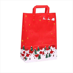 Taška vánoční 45 x 15 x 49 cm - velkoobchod, dovoz květin, řezané květiny Brno