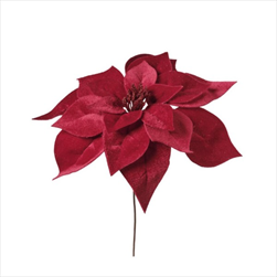 Uk poinsettia samet 20 cm červená - velkoobchod, dovoz květin, řezané květiny Brno