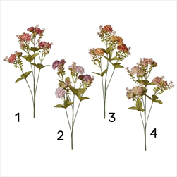 Uk zinnia X4/64 cm - velkoobchod, dovoz květin, řezané květiny Brno