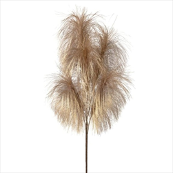 Uk pampas 102 cm zlatý - velkoobchod, dovoz květin, řezané květiny Brno