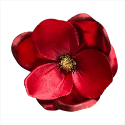 Uk květ magnolie 25 cm červený - velkoobchod, dovoz květin, řezané květiny Brno