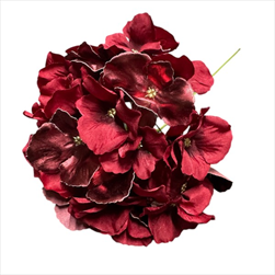 Uk květ hortenzie 27 cm bordó - velkoobchod, dovoz květin, řezané květiny Brno