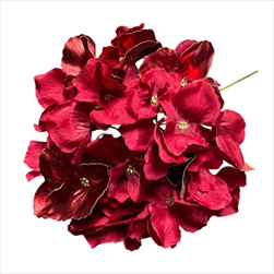Uk květ hortenzie 27 cm červený - velkoobchod, dovoz květin, řezané květiny Brno