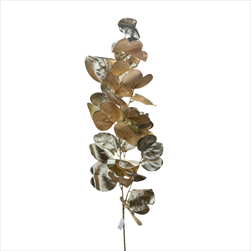 Uk větvička eucalyptus 118 cm šampaň - velkoobchod, dovoz květin, řezané květiny Brno