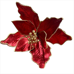 Uk poinsettia 25 cm červená - velkoobchod, dovoz květin, řezané květiny Brno