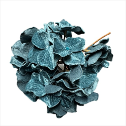 Uk květ hortenzie velvet 25,5 cm modrý - velkoobchod, dovoz květin, řezané květiny Brno