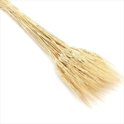 Su Grano Baffo 400g - velkoobchod, dovoz květin, řezané květiny Brno