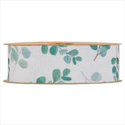 Stuha Eucalyptus listy 40 mm/10 m - velkoobchod, dovoz květin, řezané květiny Brno