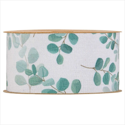 Stuha Eucalyptus listy 60 mm/10 m - velkoobchod, dovoz květin, řezané květiny Brno