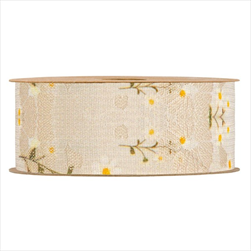 Stuha Sedmikrásky 40 mm/10 m krémová - velkoobchod, dovoz květin, řezané květiny Brno