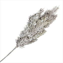 Uk cypřiš větev 53 cm hnědobílá - velkoobchod, dovoz květin, řezané květiny Brno