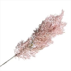 Uk cypřiš větev 53 cm  růžová - velkoobchod, dovoz květin, řezané květiny Brno
