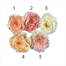 UK Květ pivoně 10 cm mix  - velkoobchod, dovoz květin, řezané květiny Brno