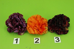 Uk květ karafiát 9cm - velkoobchod, dovoz květin, řezané květiny Brno