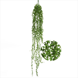 Zeleň převis x3/ 85cm - velkoobchod, dovoz květin, řezané květiny Brno